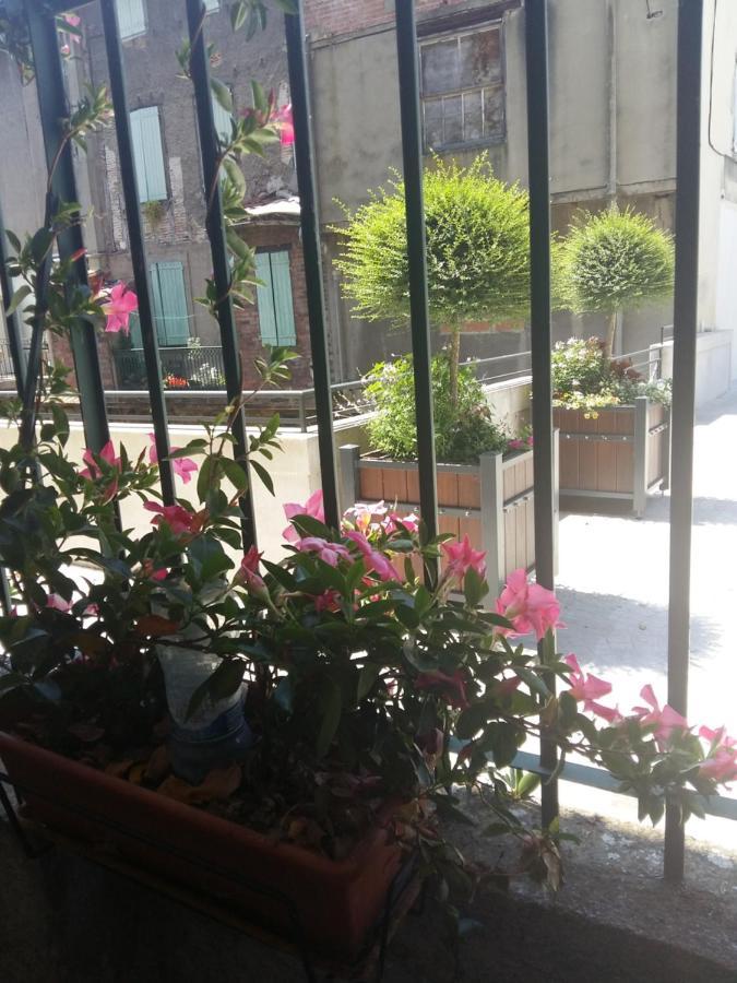 马扎梅Quai De L ' Arnette住宿加早餐旅馆 外观 照片